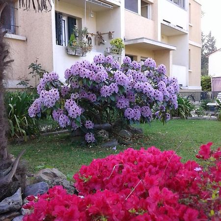 Apartament Les Floralies Bis Pau Zewnętrze zdjęcie